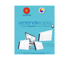 https://www.yetenekkapisi.org/
